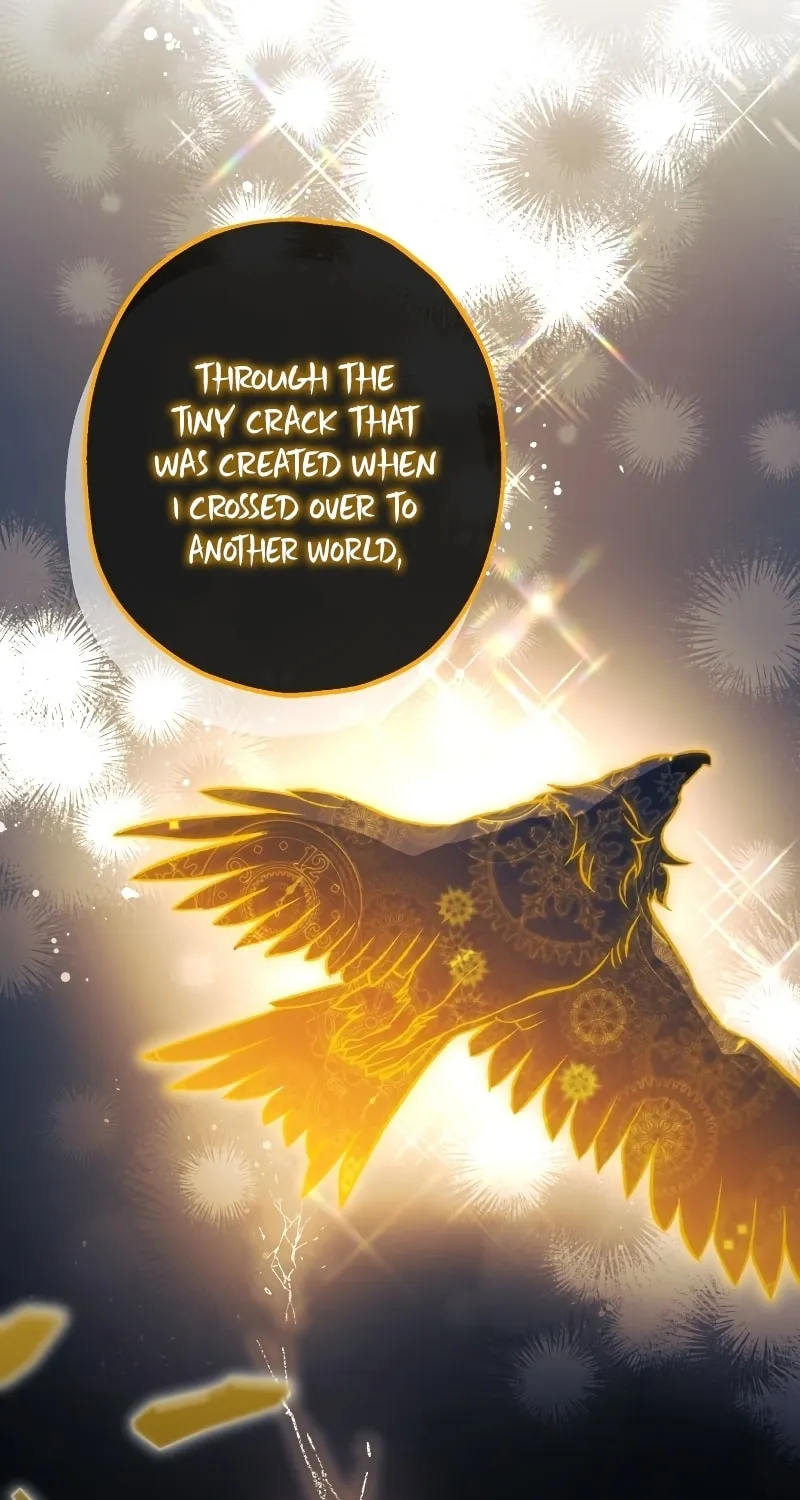Read The Crow