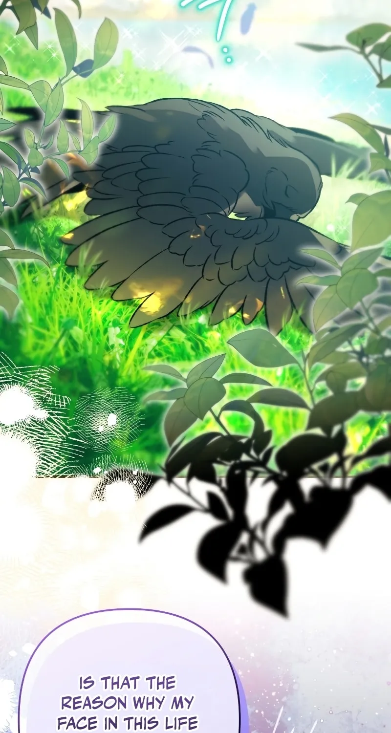 Read The Crow
