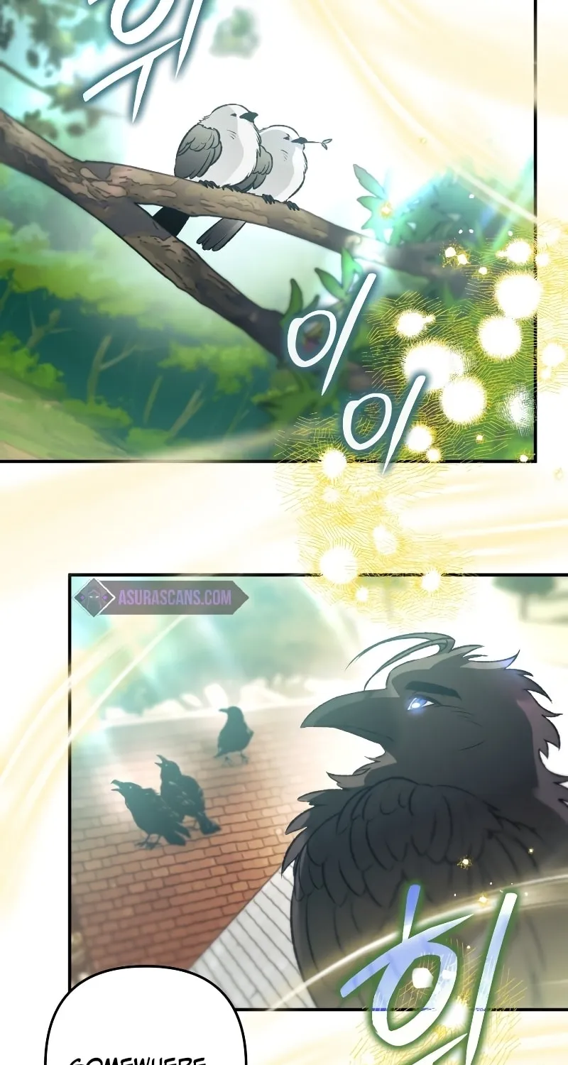 Read The Crow