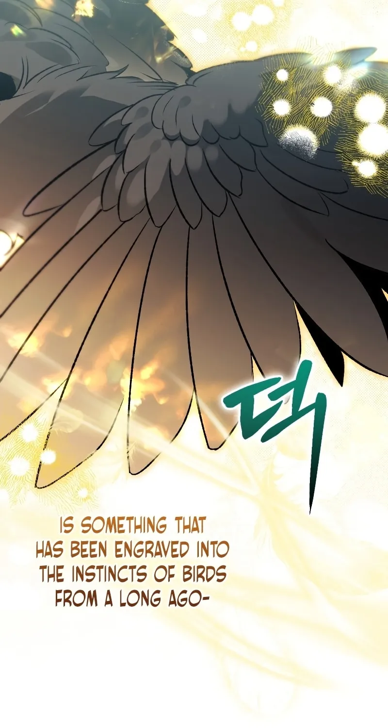 Read The Crow