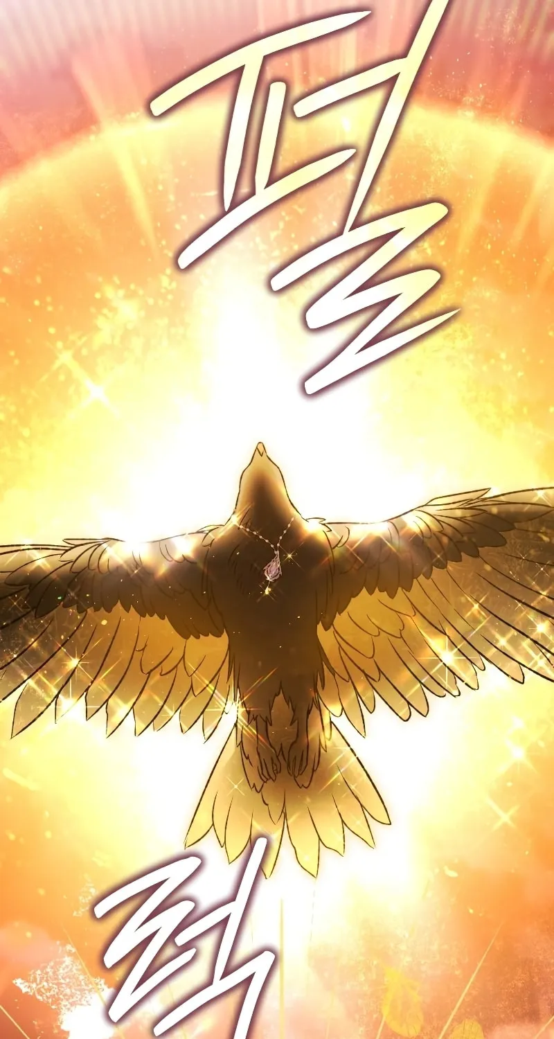 Read The Crow