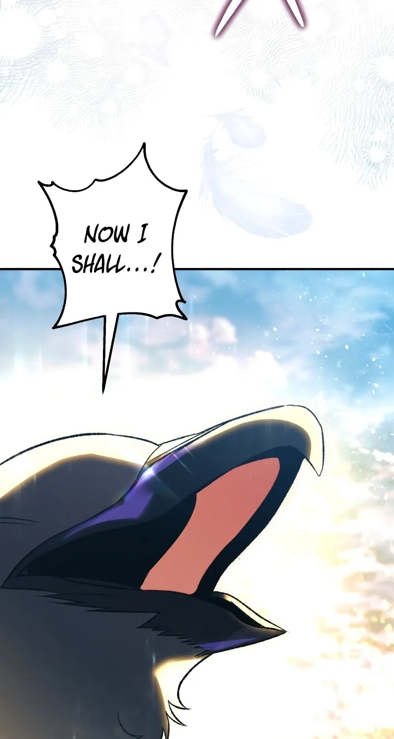 Read The Crow