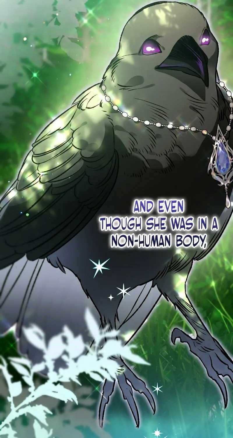 Read The Crow