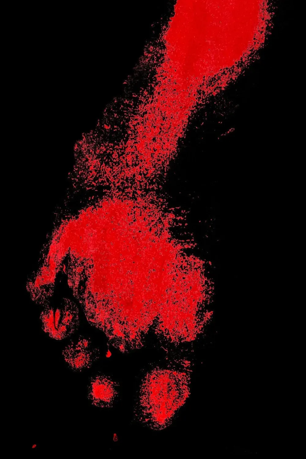 Read The Crow chapter 1.1 image 7 on Lezhin