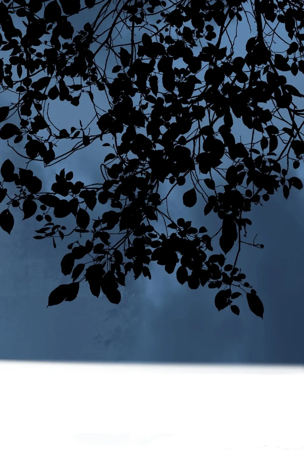 Read The Crow chapter 15 image 27 on Lezhin