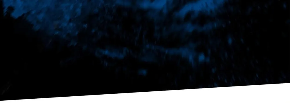 Read The Crow chapter 16 image 74 on Lezhin