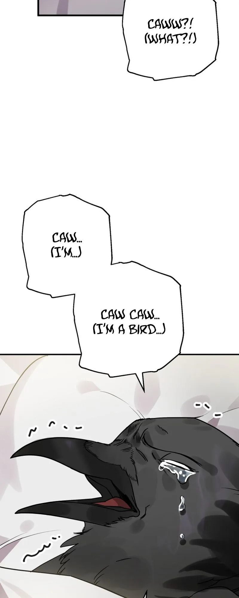 Read The Crow