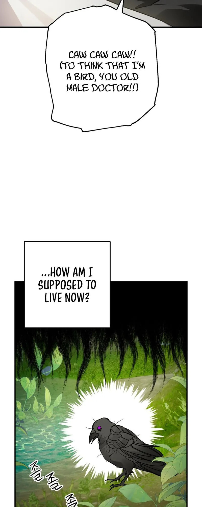 Read The Crow