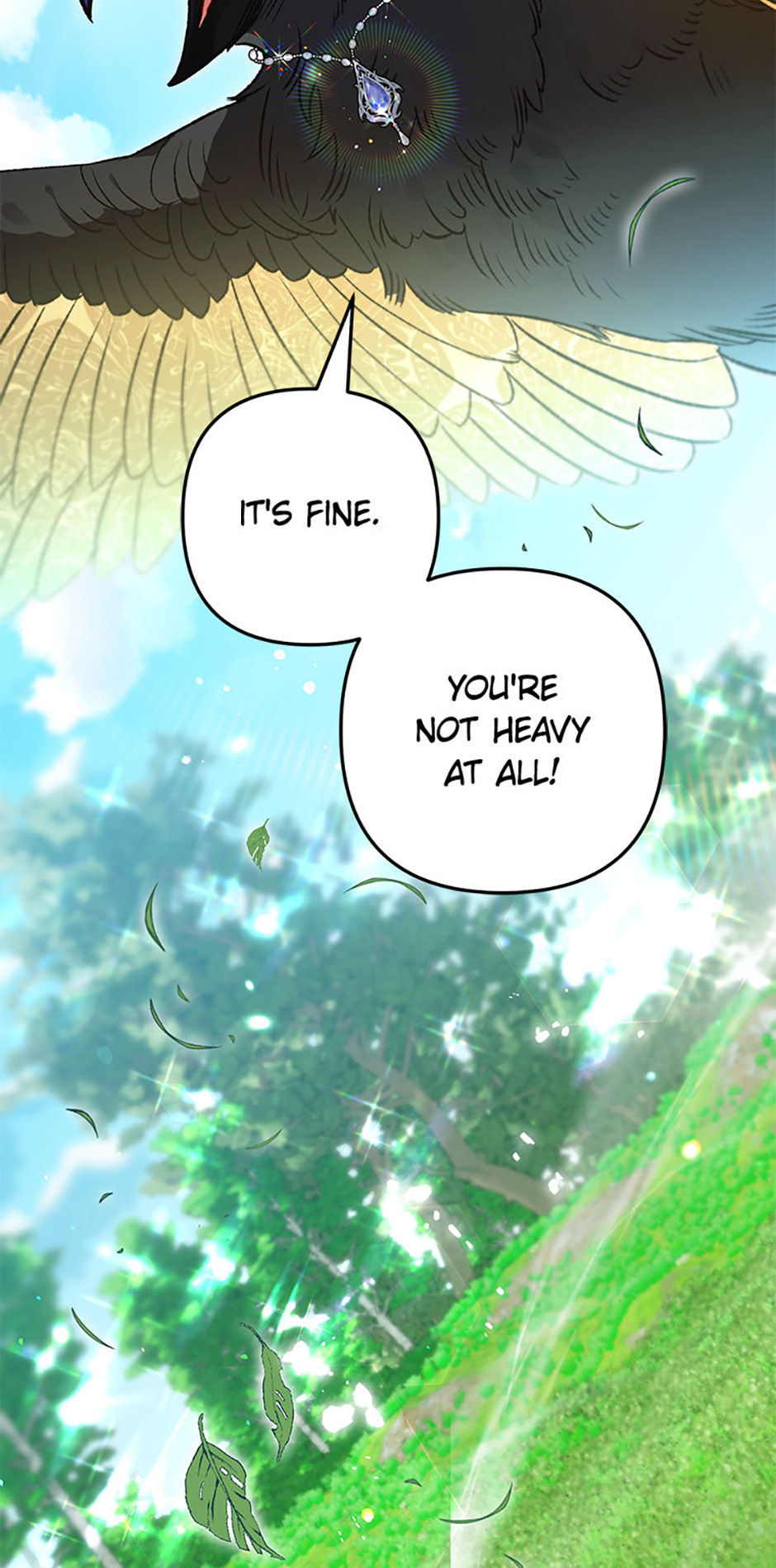 Read The Crow