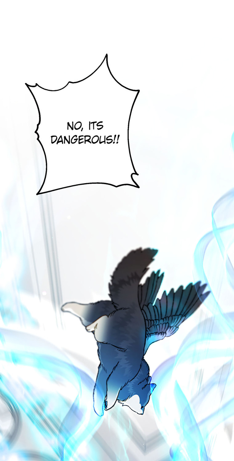 Read The Crow