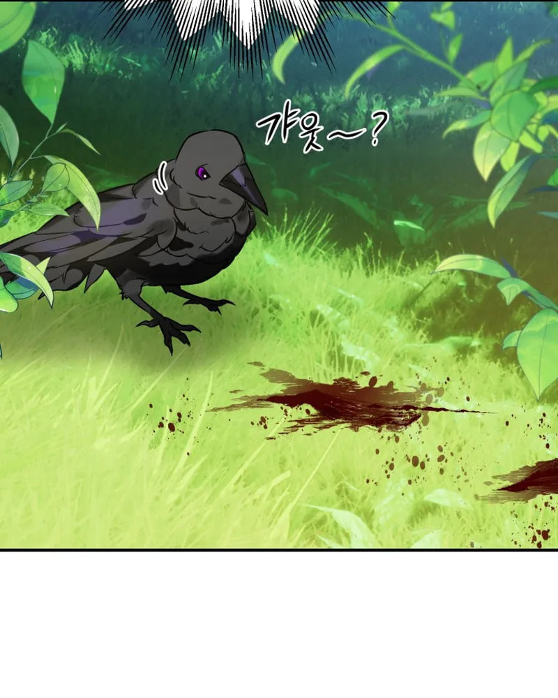 Read The Crow