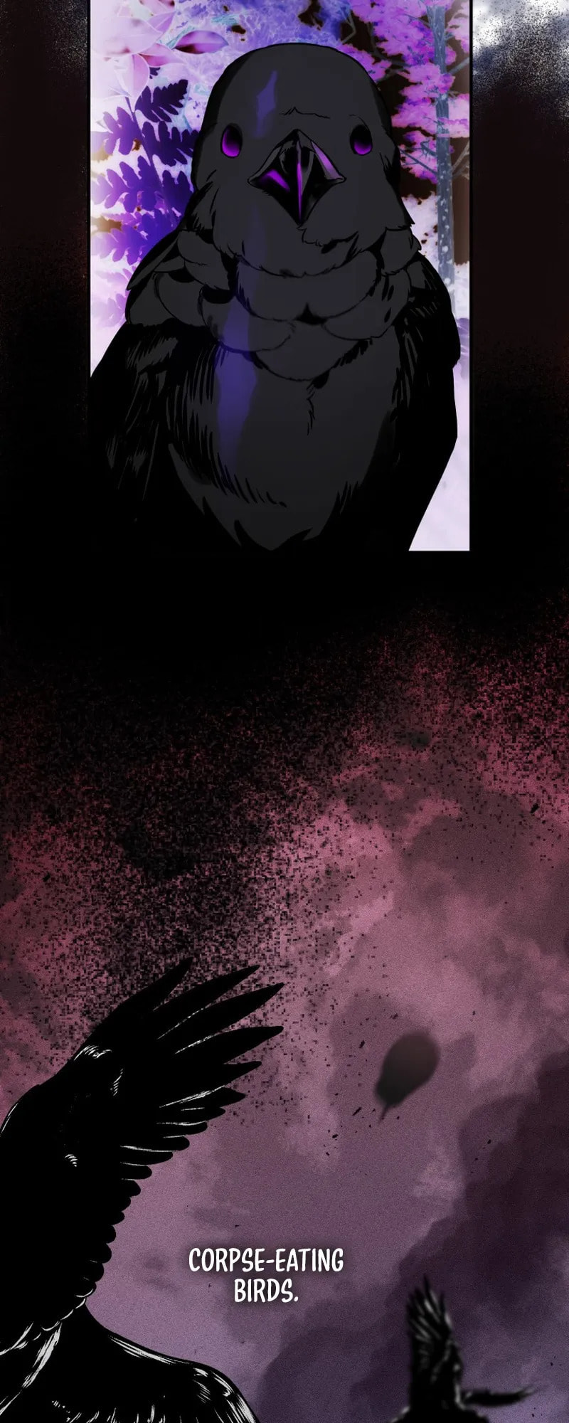 Read The Crow