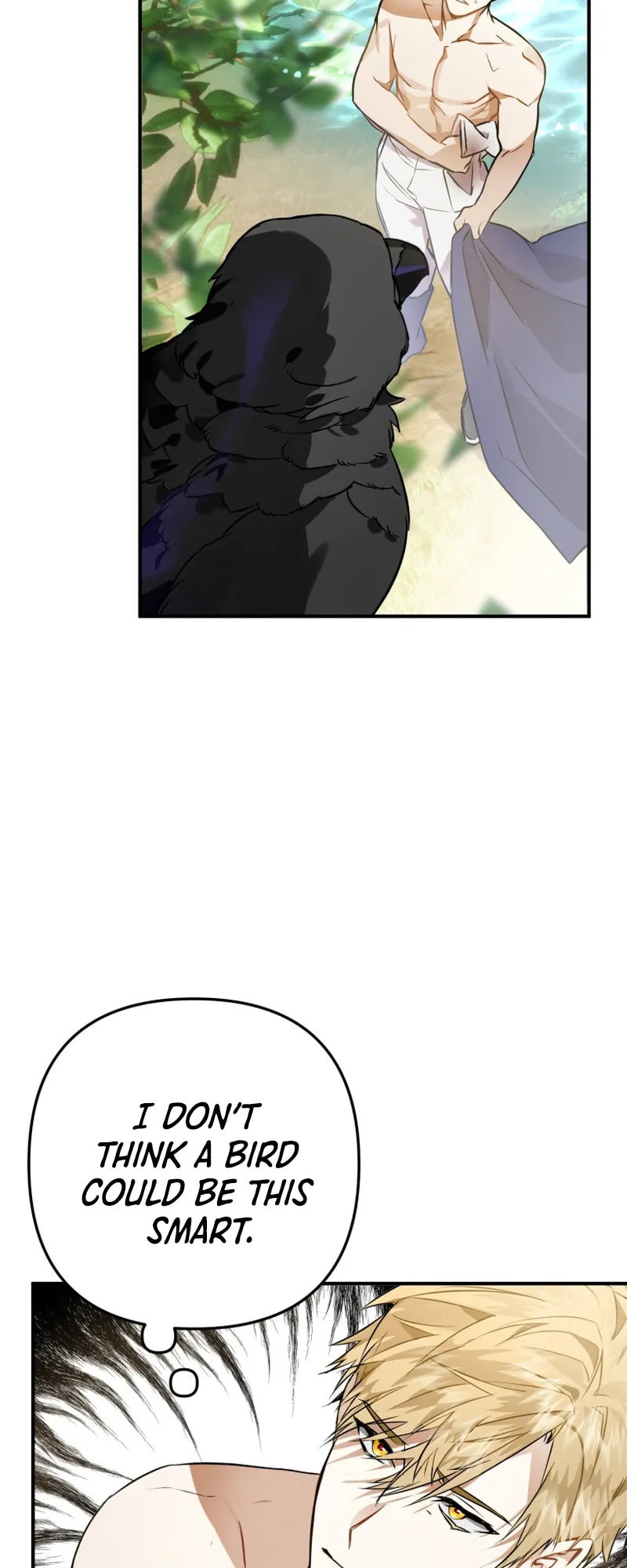 Read The Crow