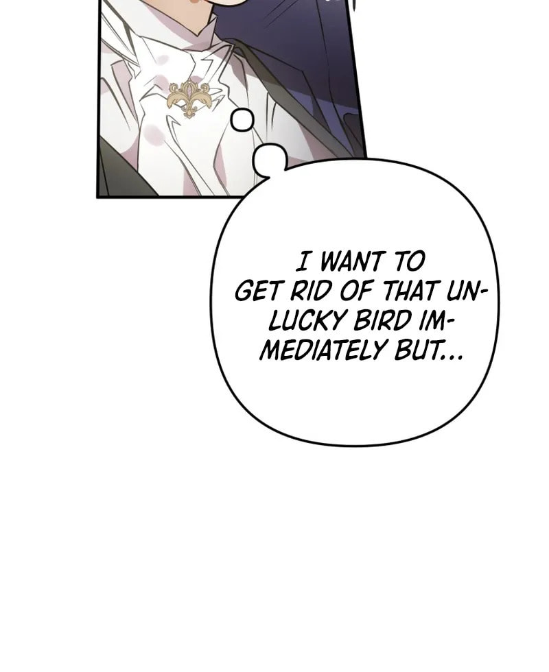 Read The Crow
