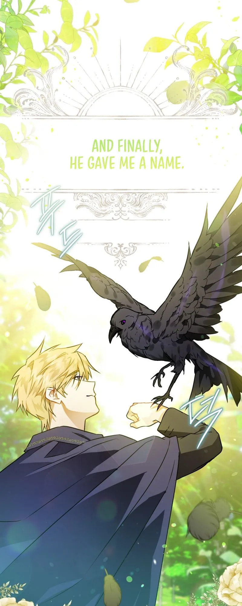 Read The Crow