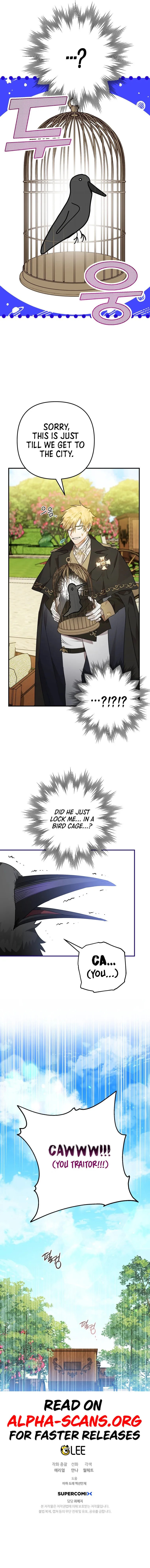Read The Crow