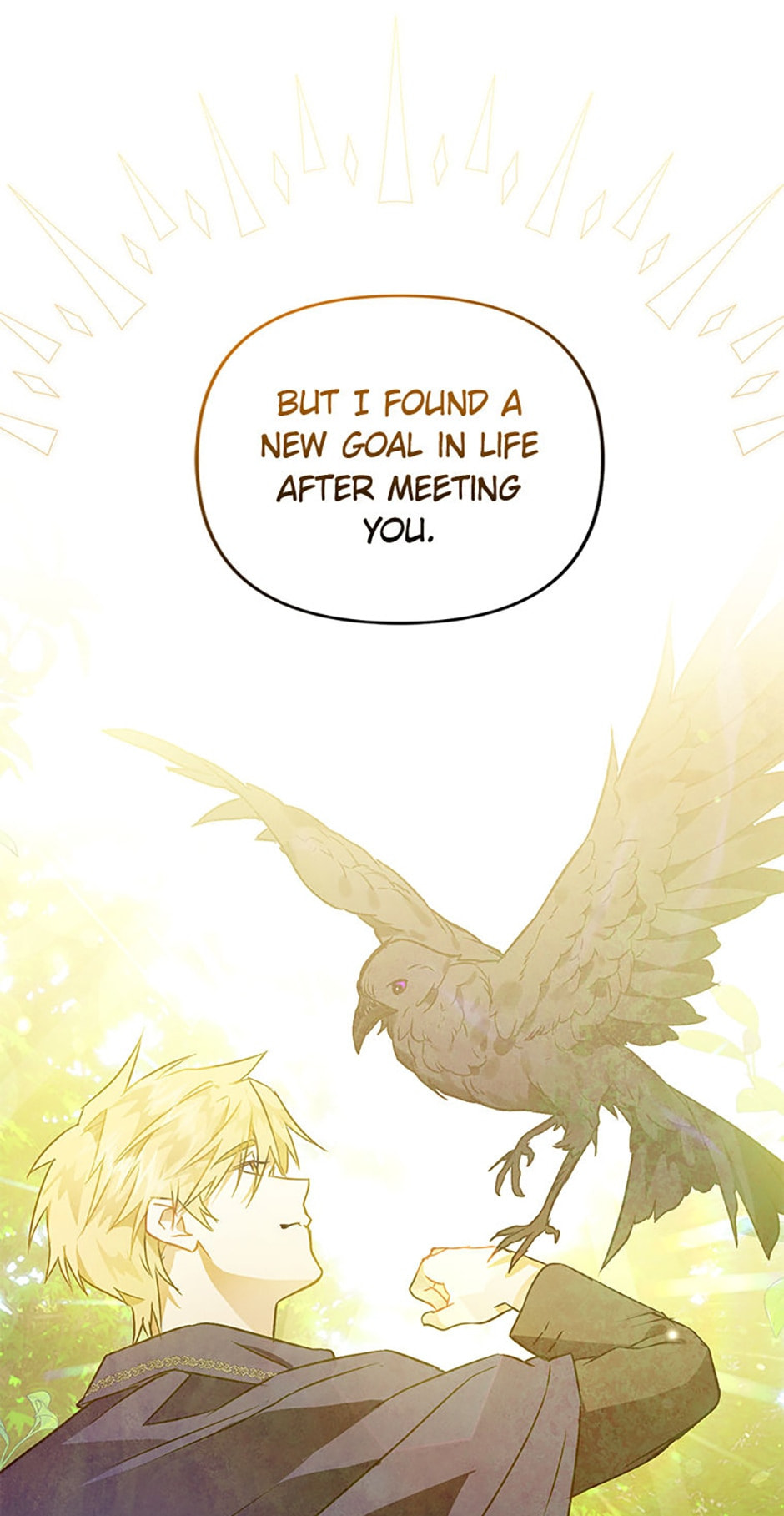 Read The Crow