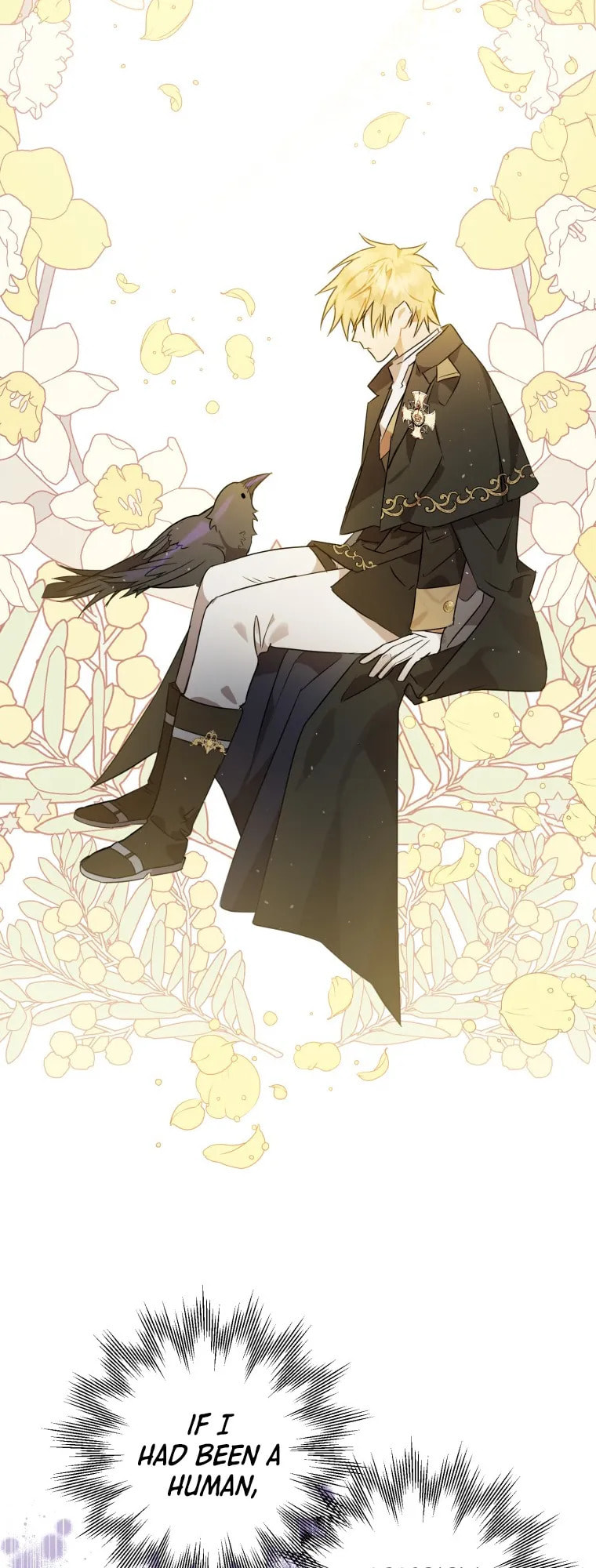 Read The Crow