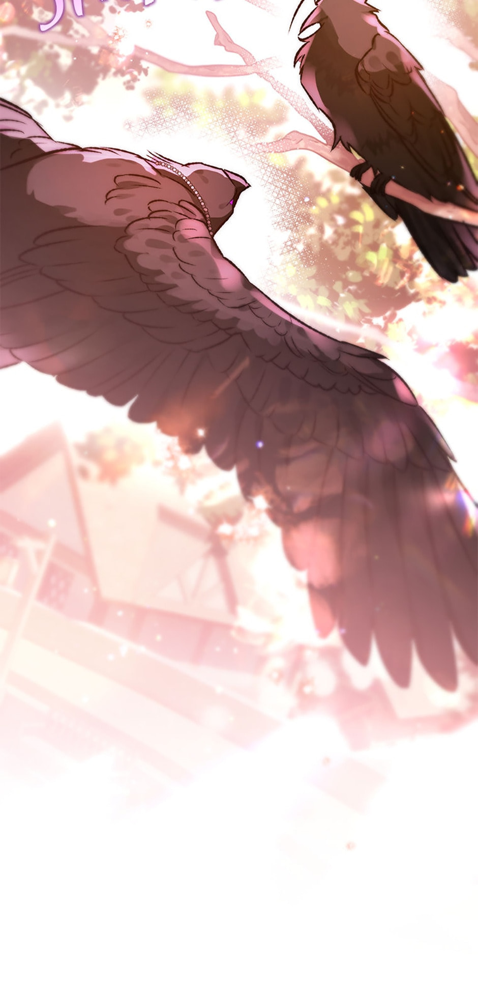 Read The Crow