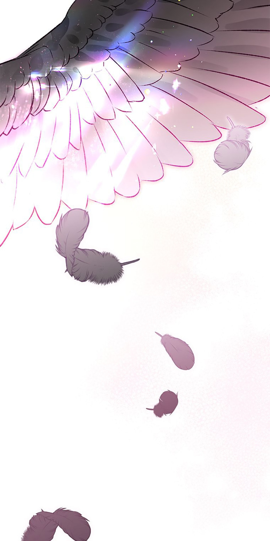 Read The Crow
