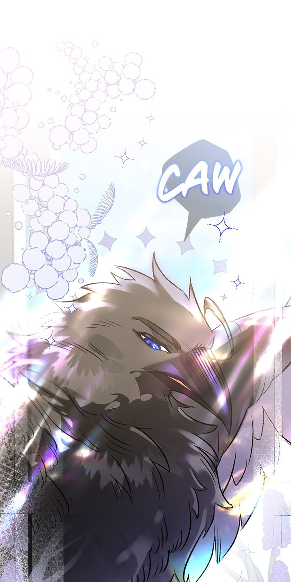 Read The Crow