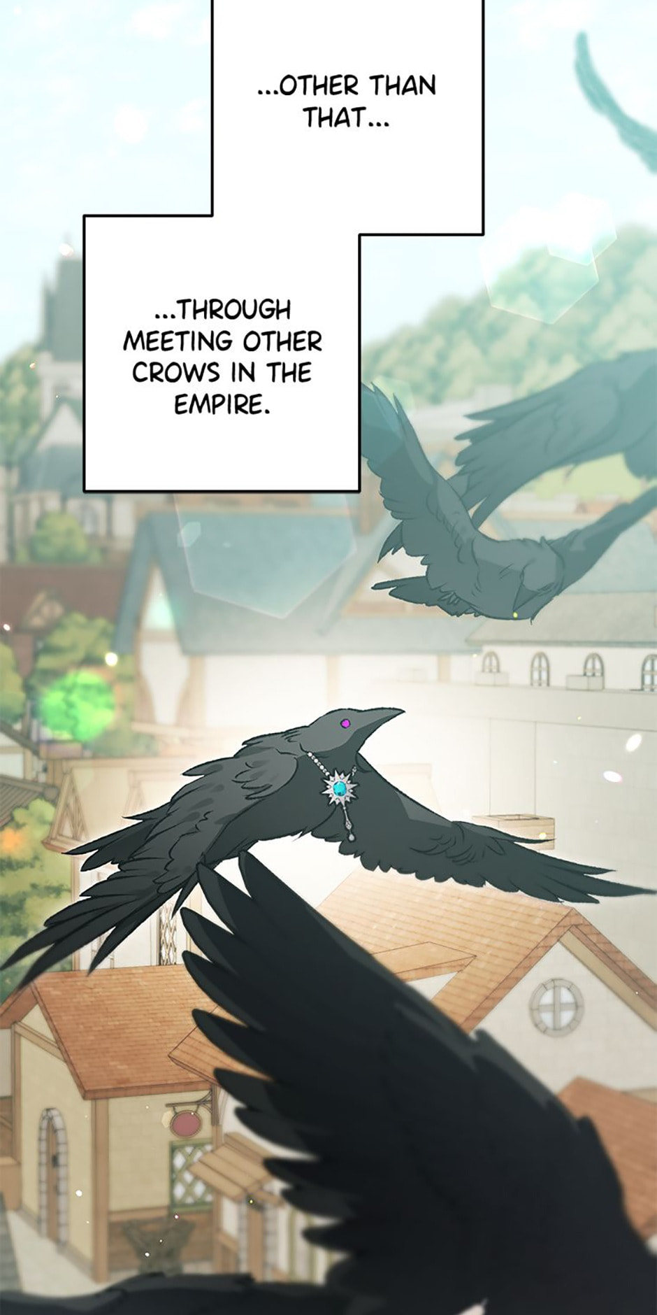 Read The Crow