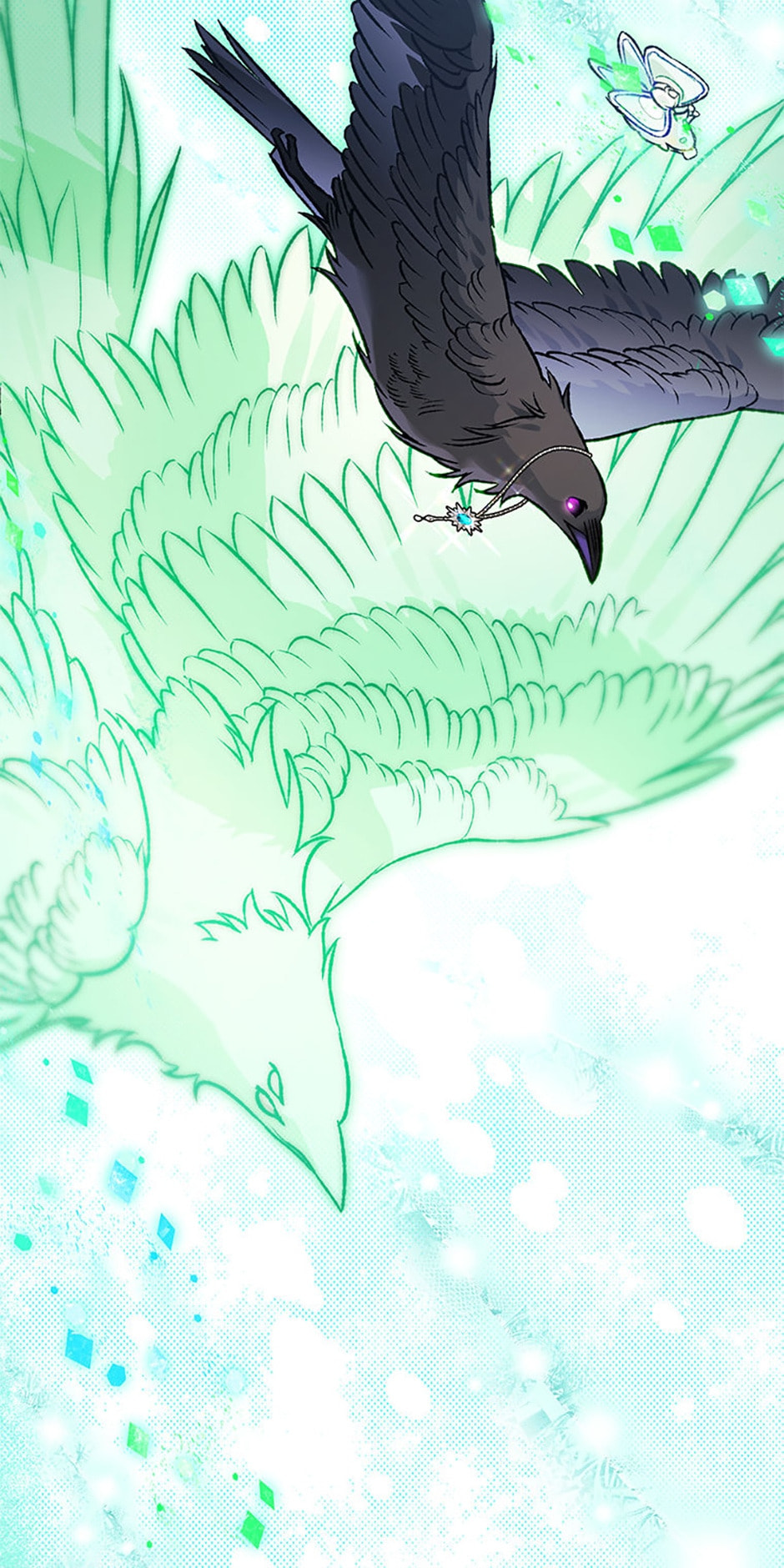 Read The Crow