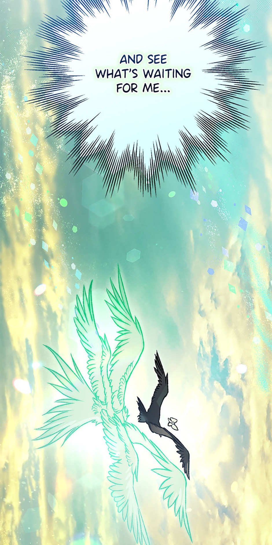Read The Crow