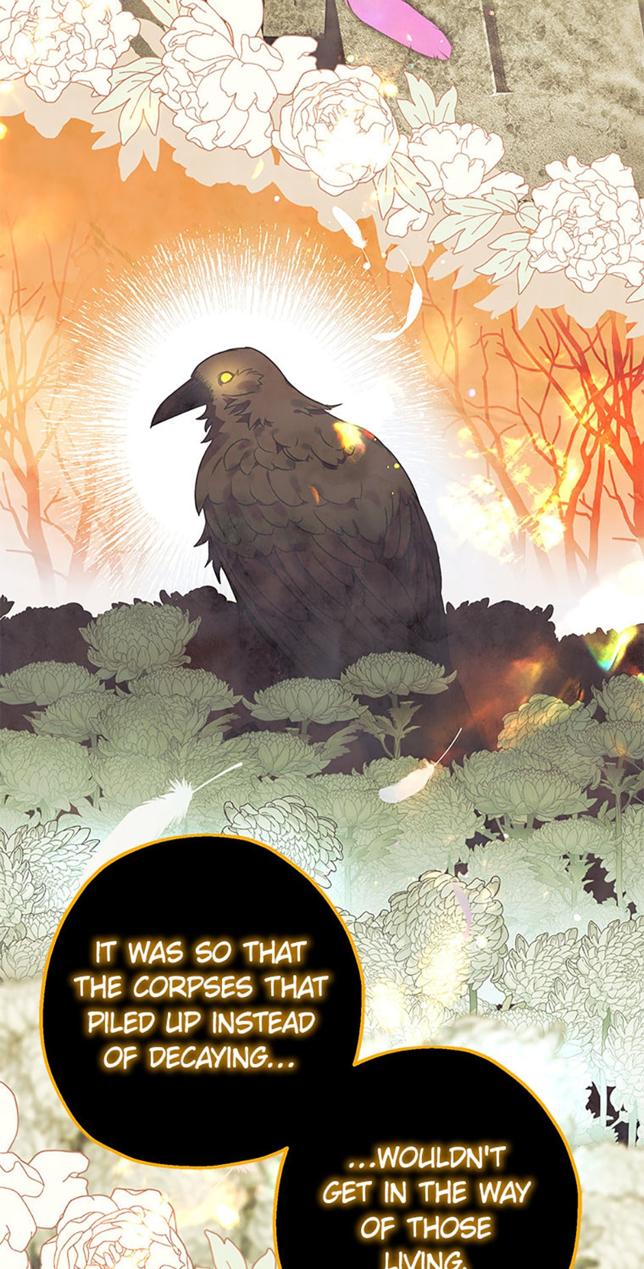 Read The Crow