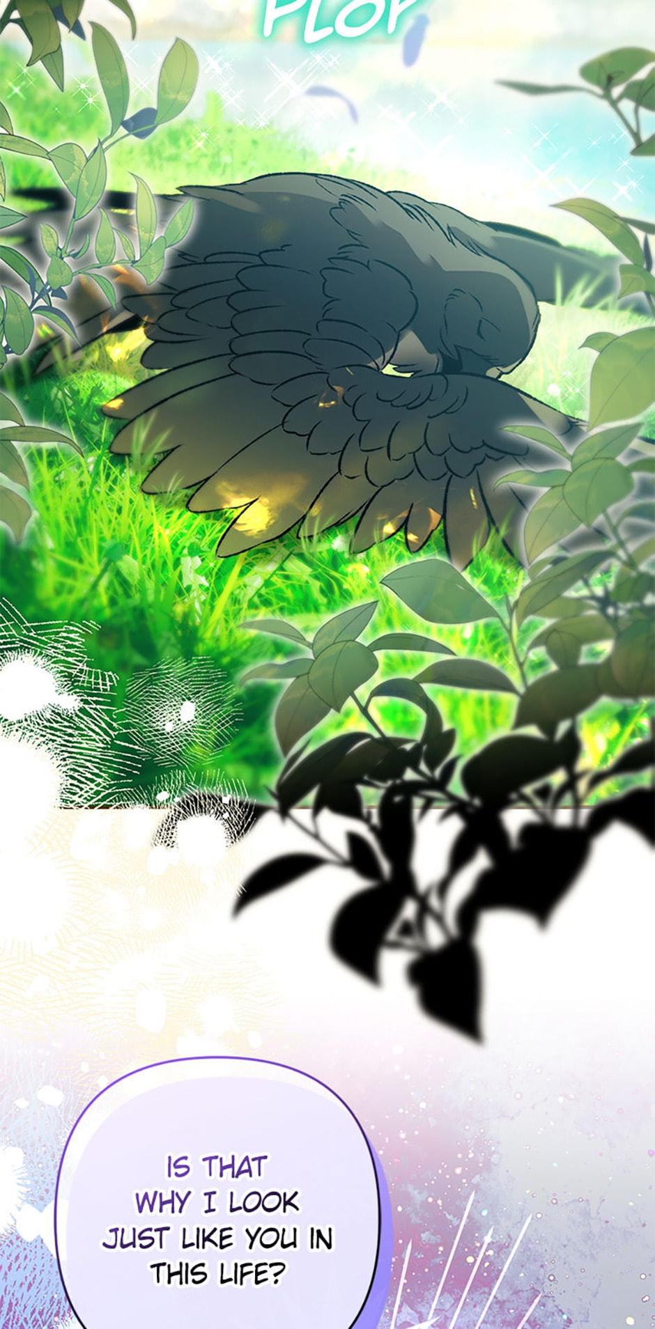 Read The Crow