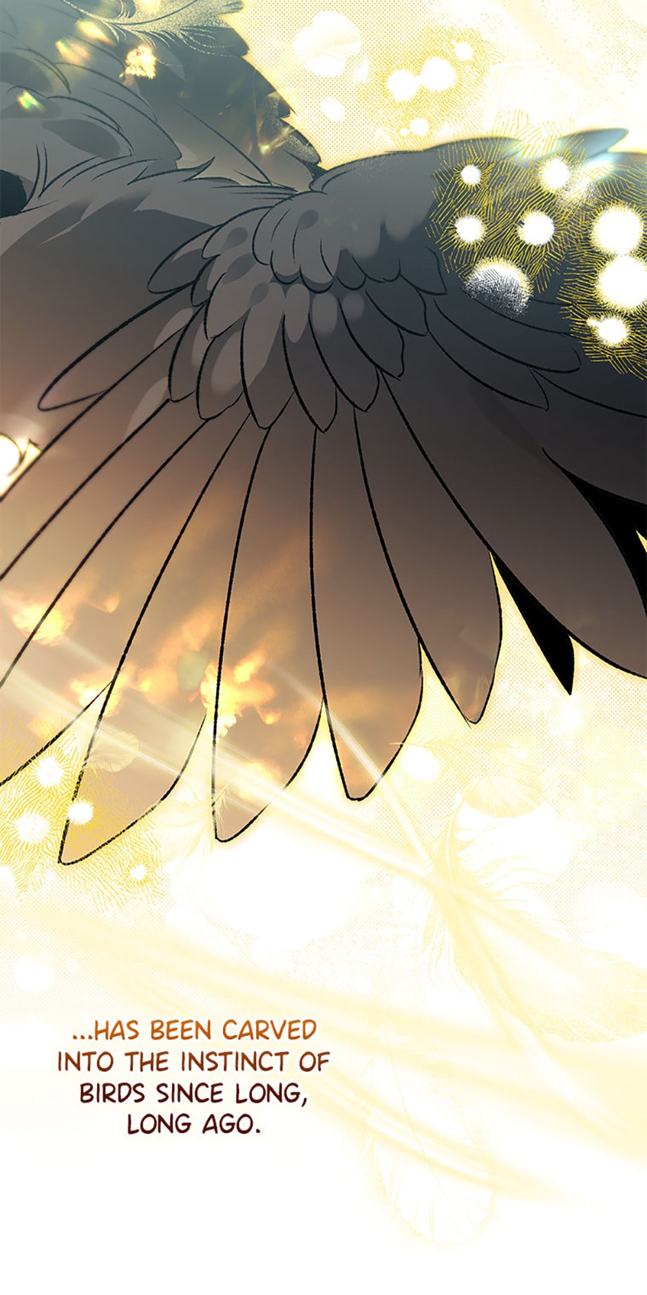 Read The Crow