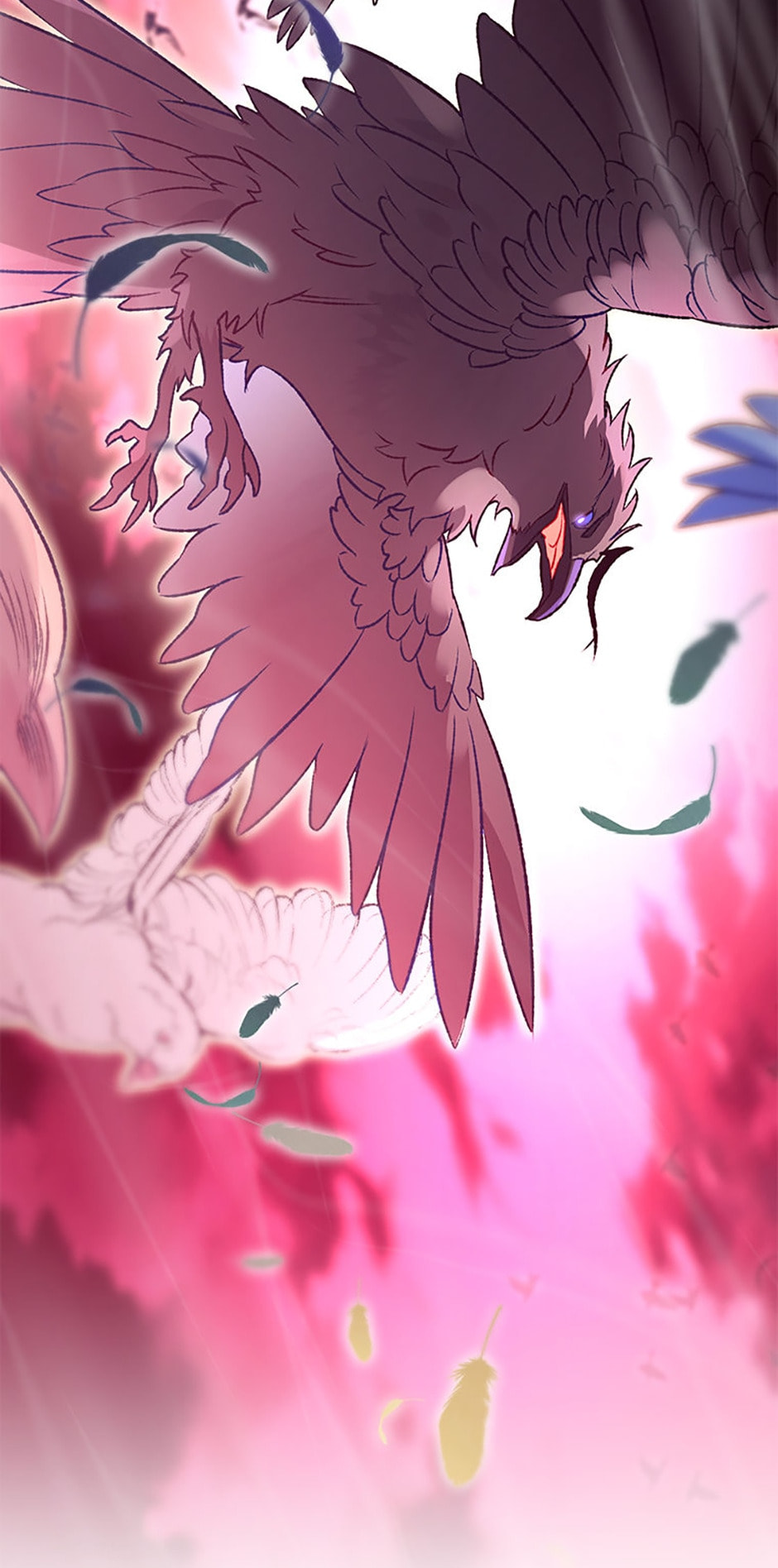 Read The Crow