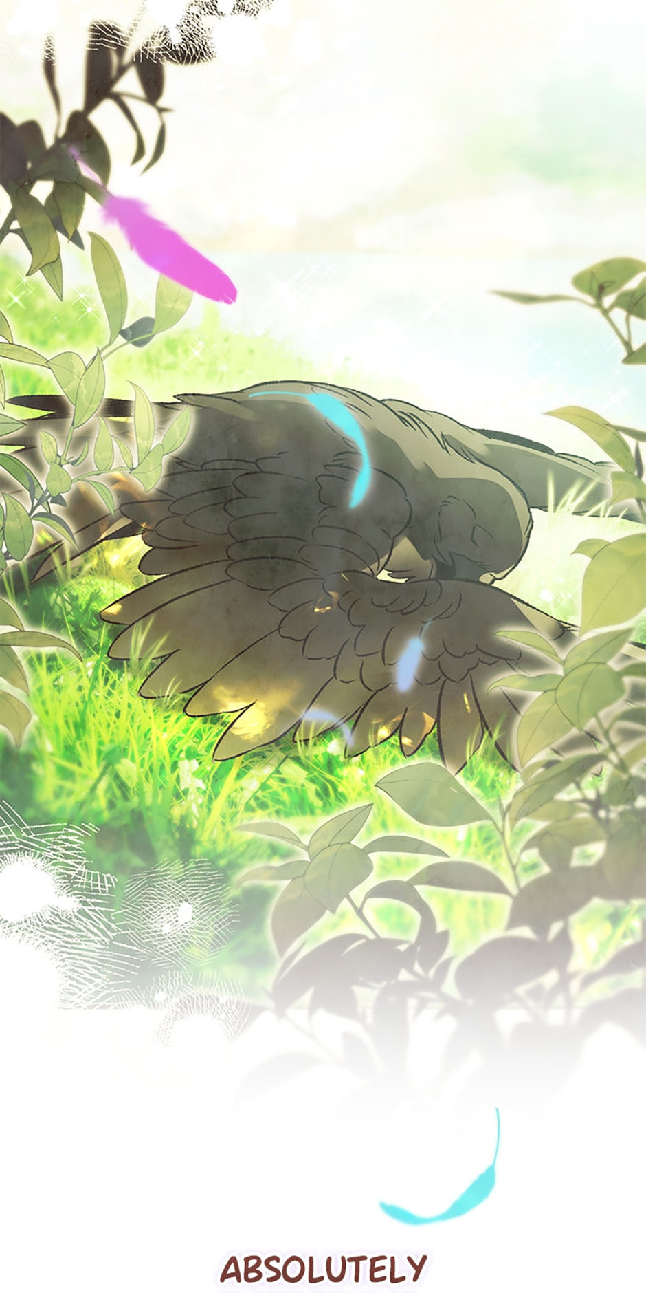 Read The Crow