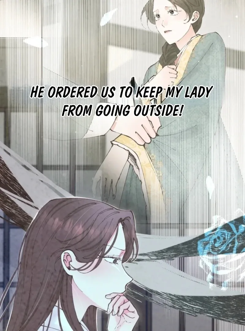 Read The Curse Bearer chapter 11 image 48 on Lezhin