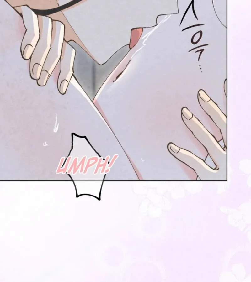 Read The Curse Bearer chapter 7 image 49 on Lezhin