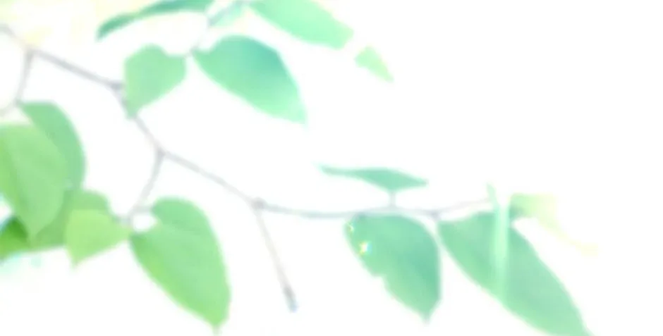 The Cute Little Saintess Chapter 22 page 2 - 