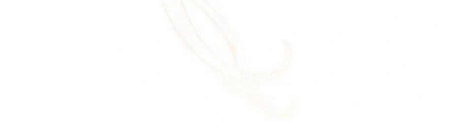 The Cute Little Saintess Chapter 33 page 74 - 