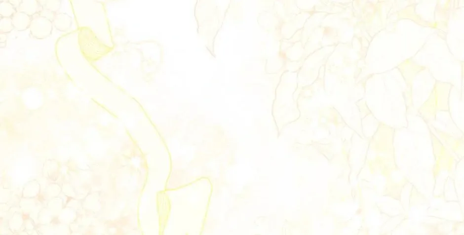 The Cute Little Saintess Chapter 43 page 233 - 
