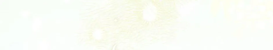 The Cute Little Saintess Chapter 47 page 188 - 