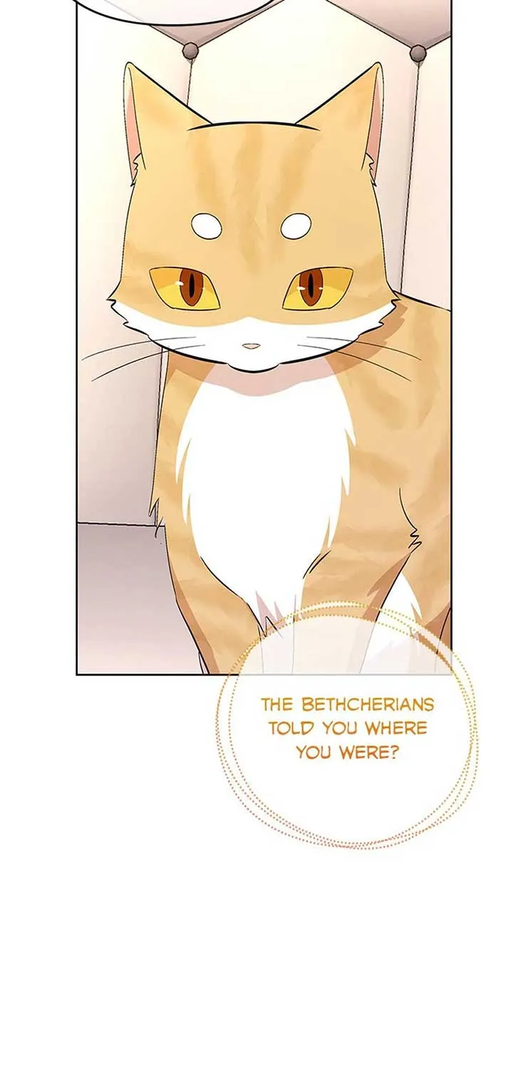 The Cute Little Saintess Chapter 53 page 100 - 