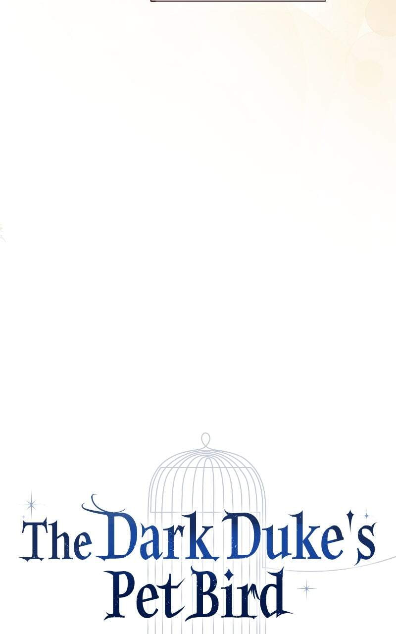 The Dark Duke's Pet Bird Chapter 13 page 41 - 
