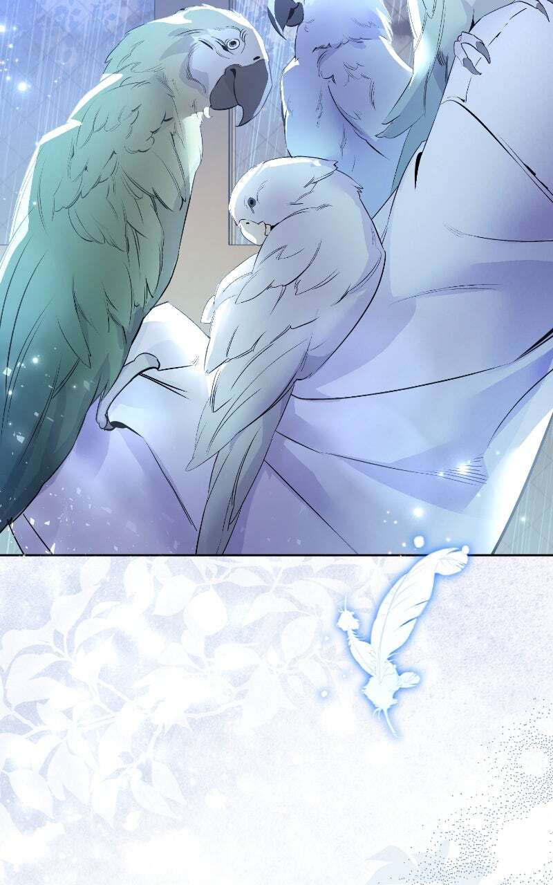 The Dark Duke's Pet Bird Chapter 2 page 17 - 