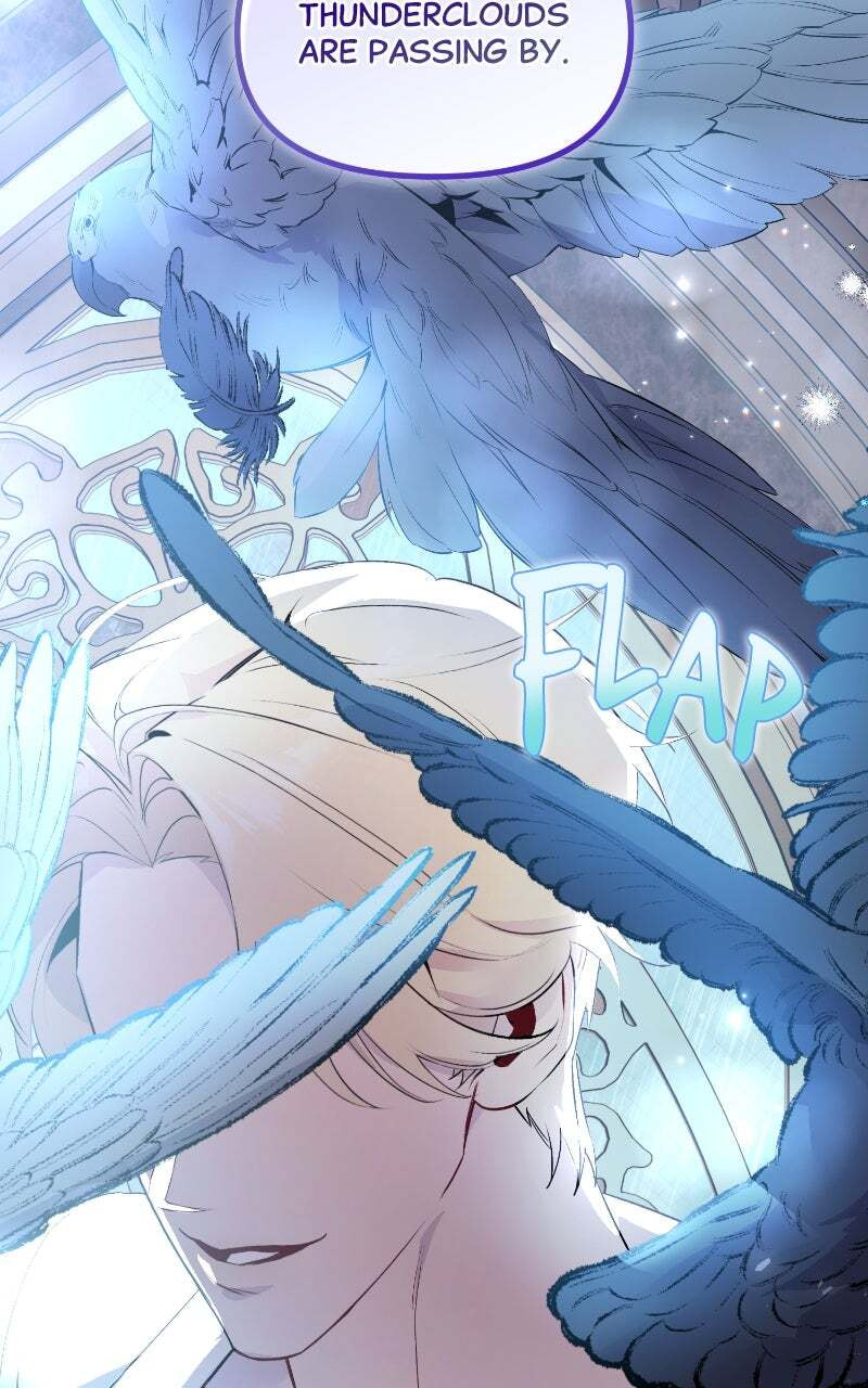 The Dark Duke's Pet Bird Chapter 2 page 19 - 