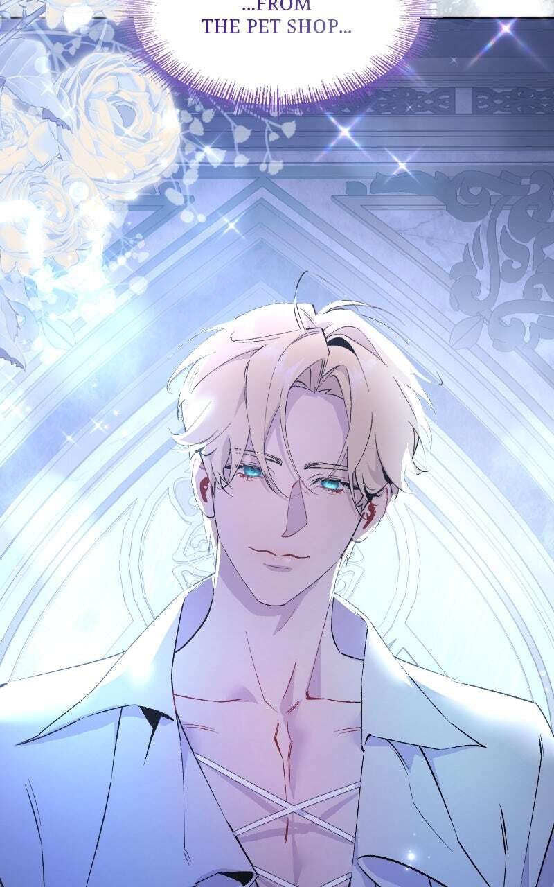 The Dark Duke's Pet Bird Chapter 2 page 23 - 