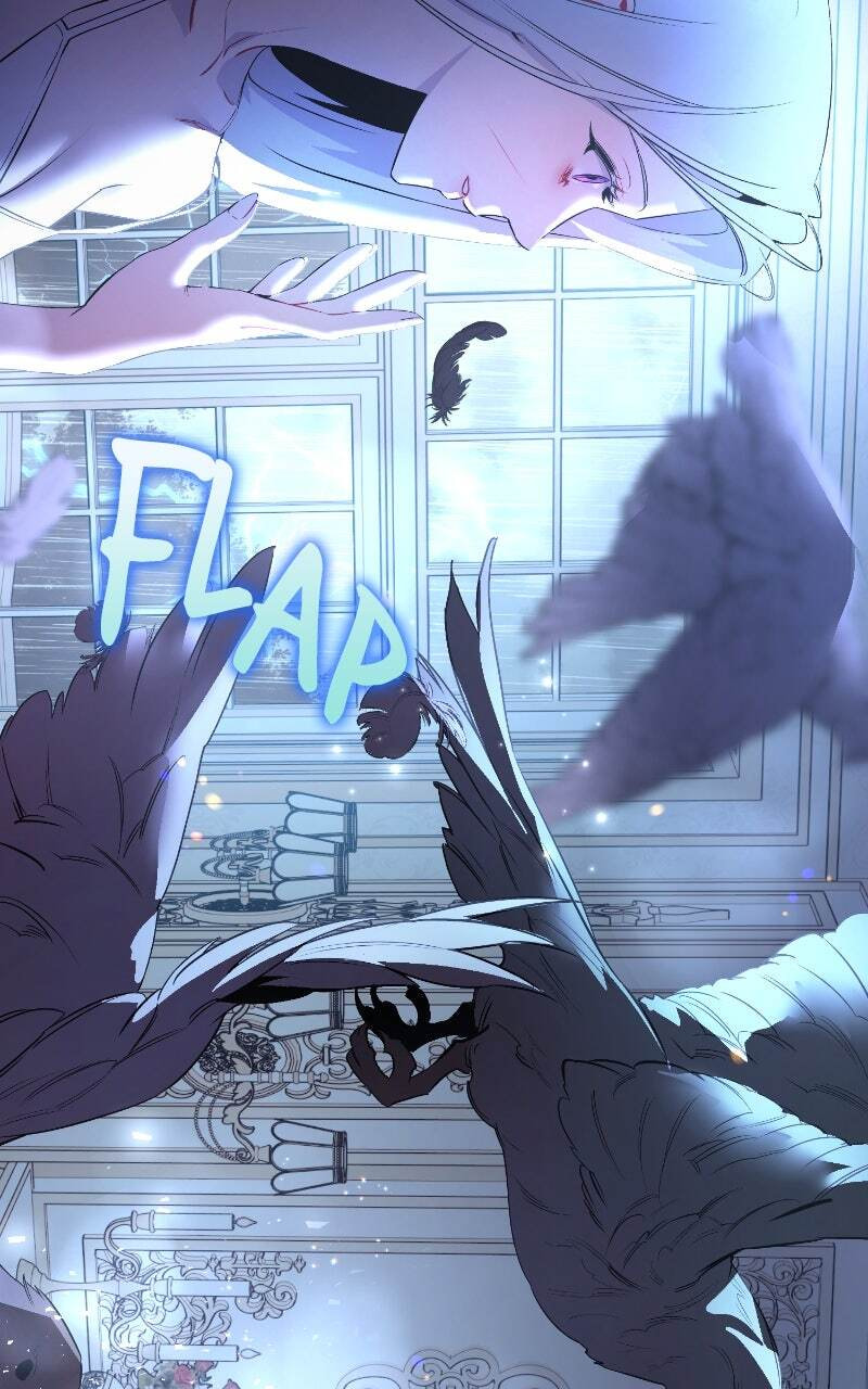 The Dark Duke's Pet Bird Chapter 2 page 7 - 