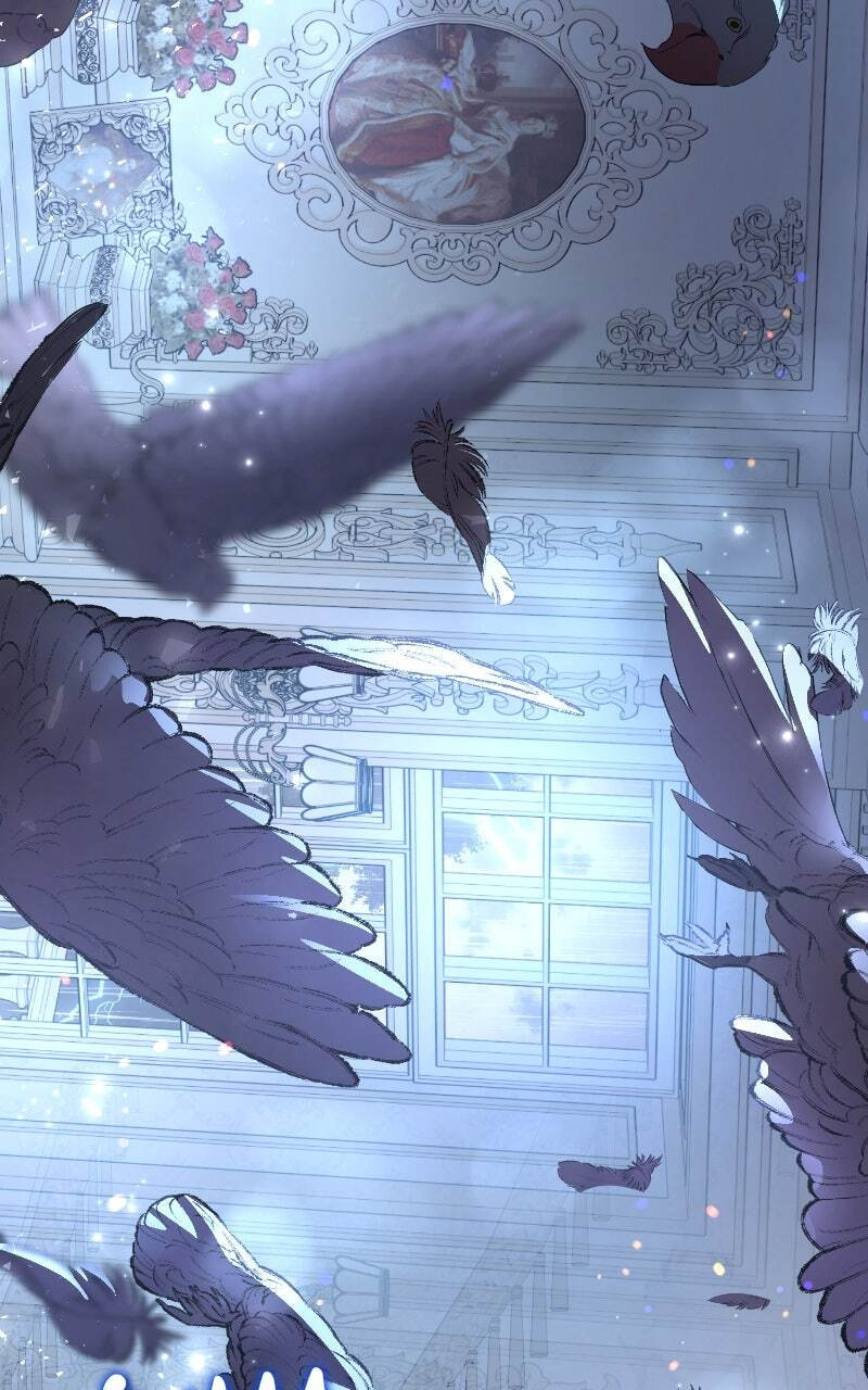 The Dark Duke's Pet Bird Chapter 2 page 8 - 
