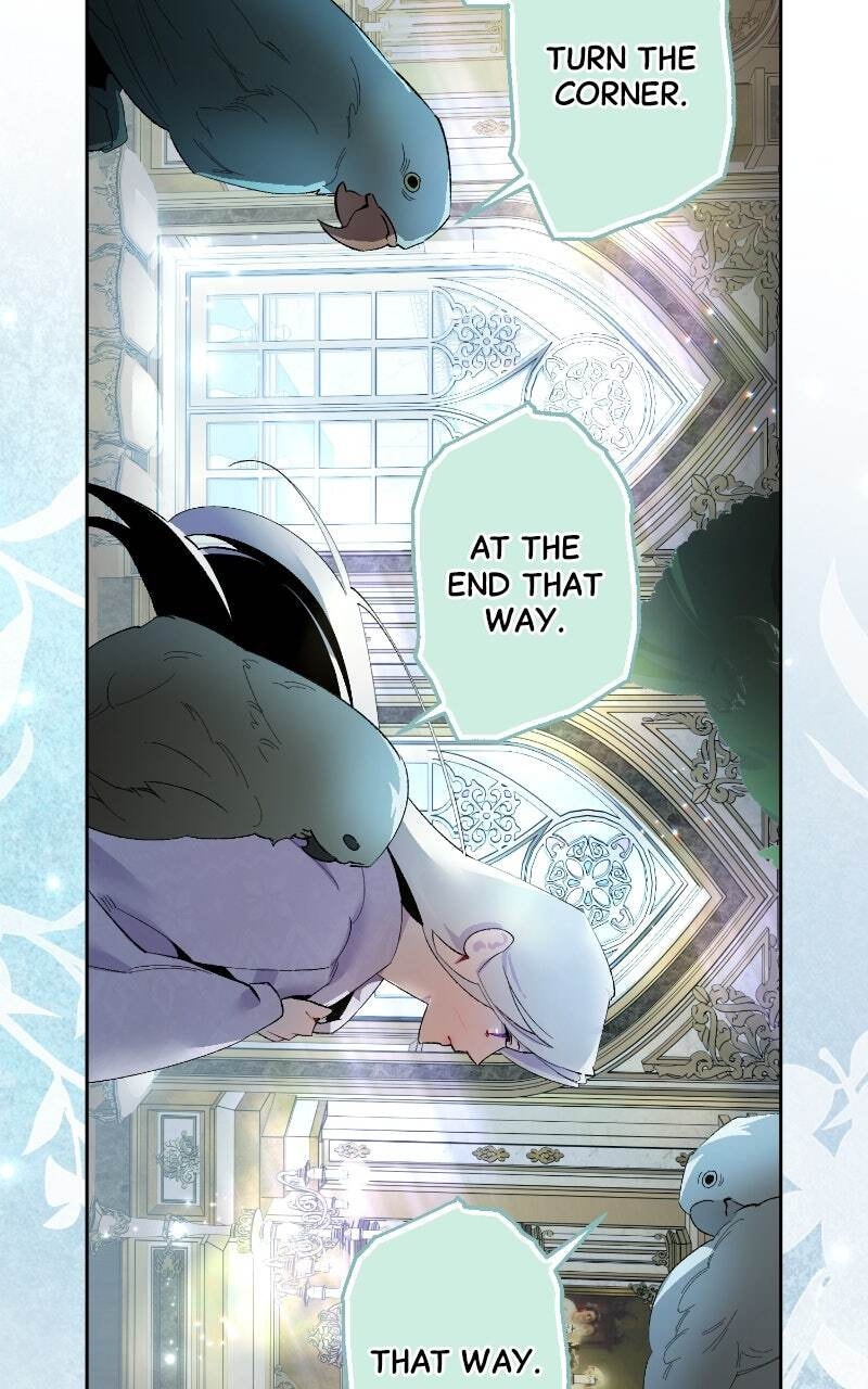 The Dark Duke's Pet Bird Chapter 2 page 81 - 