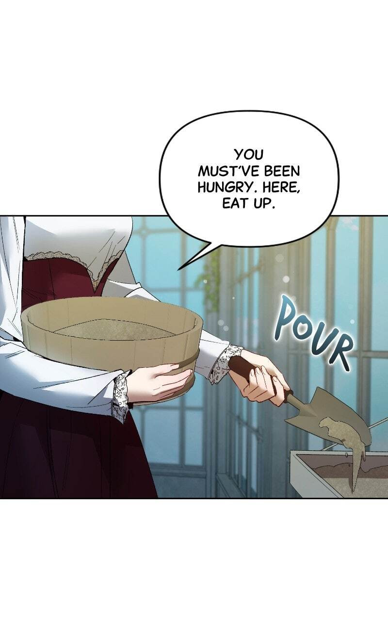 The Dark Duke's Pet Bird Chapter 21 page 35 - 