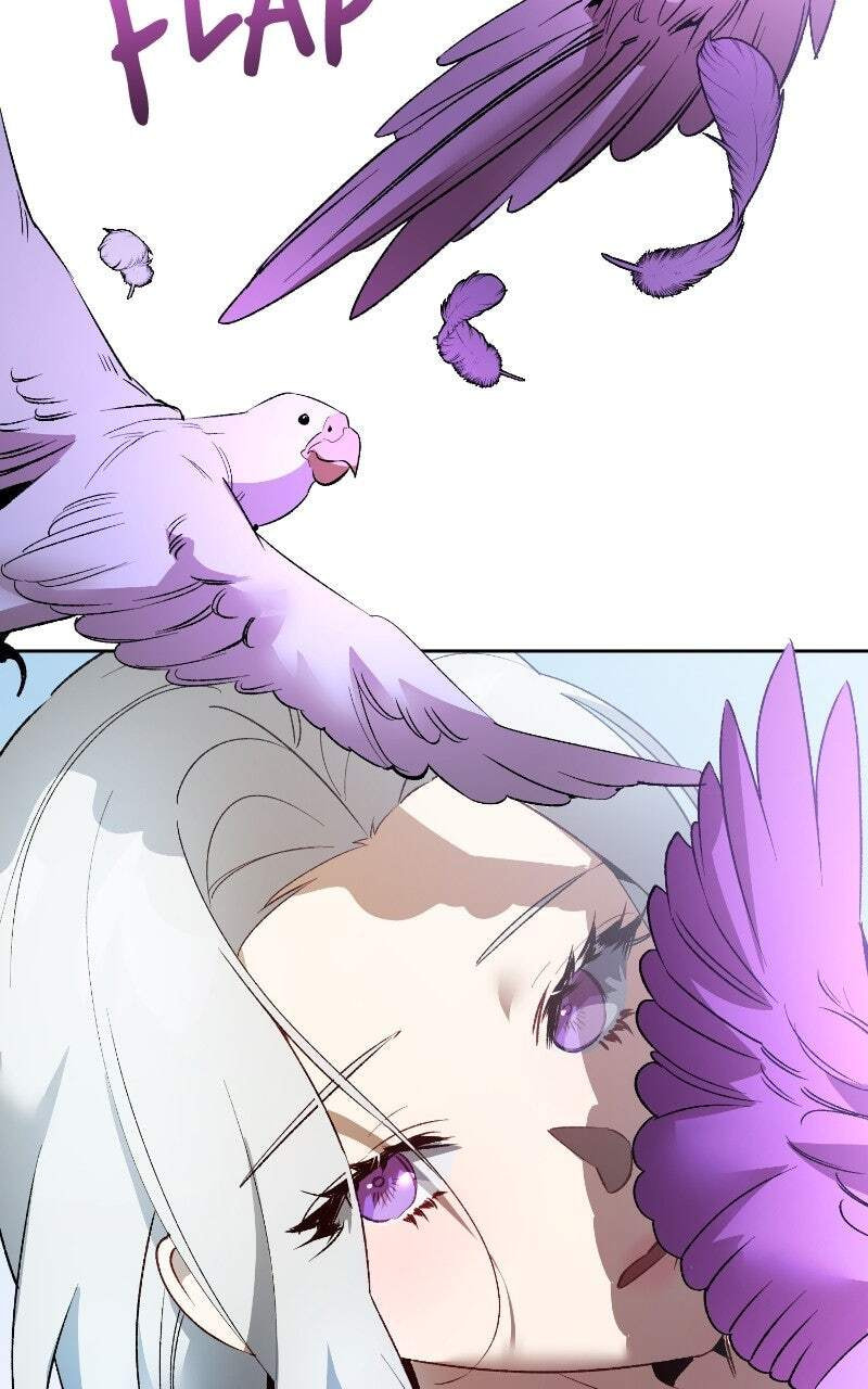 The Dark Duke's Pet Bird Chapter 21 page 38 - 