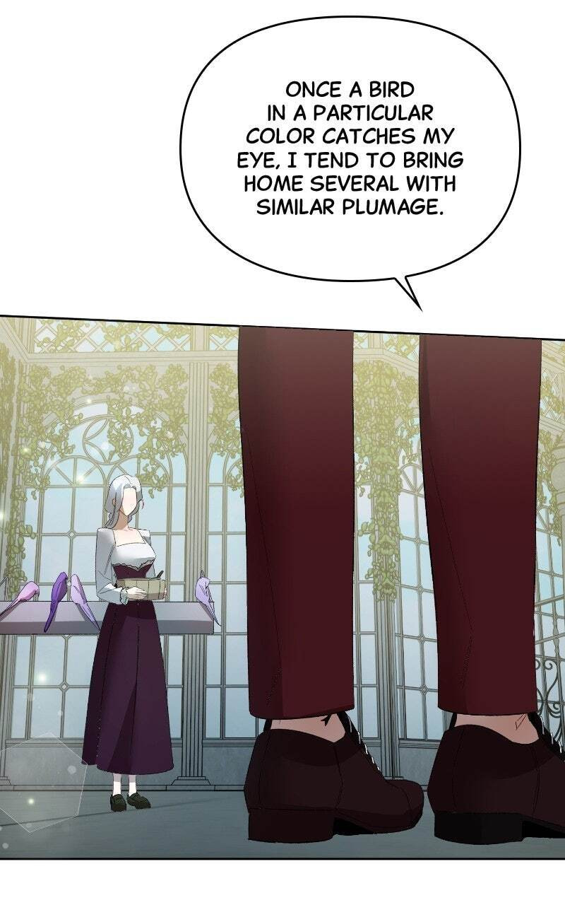 The Dark Duke's Pet Bird Chapter 21 page 40 - 